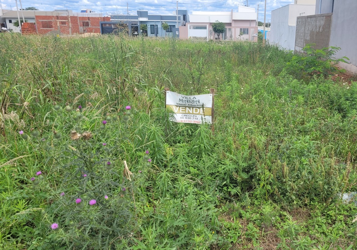 Terreno com excelente localização